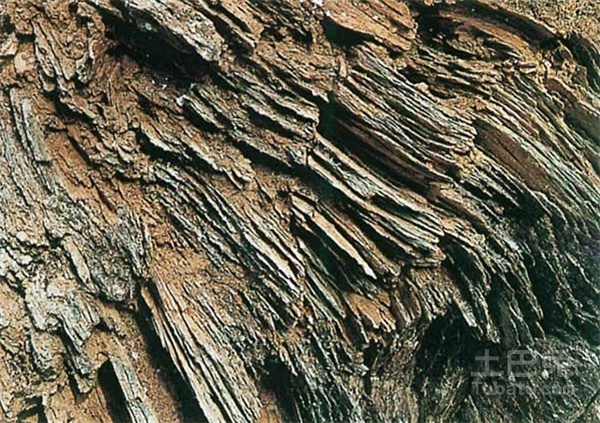 变质条件下形成的所有 a href="#" data-lemmaid="594014">变质岩 /a>