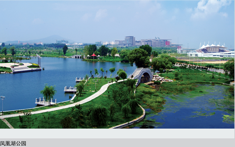 山东省泰安市岱岳区