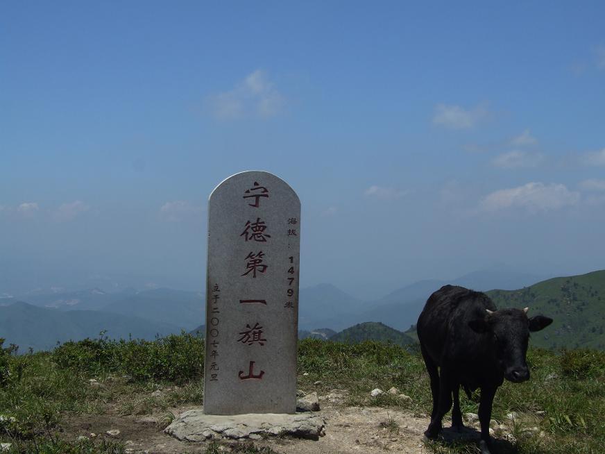 宁德旗山