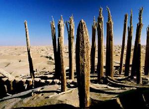 新疆若羌罗布泊小河墓地