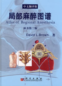 局部麻醉图谱 : 中文翻译版