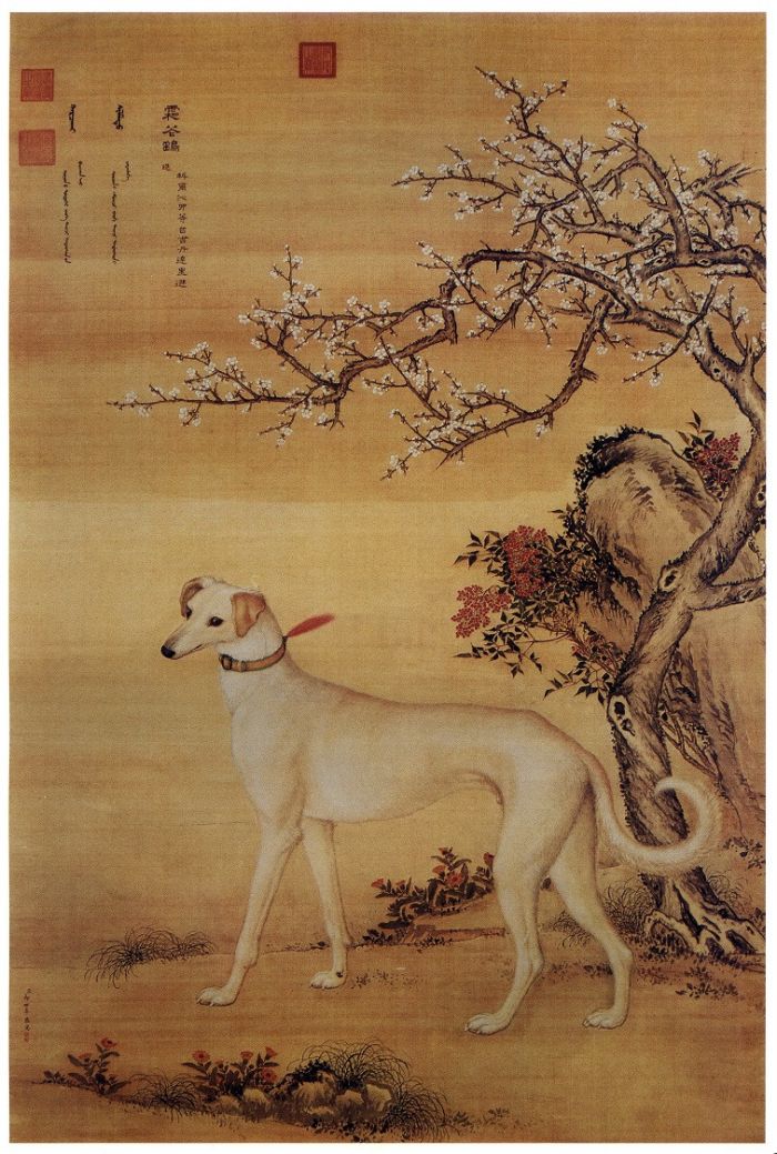 清朝的 宠物狗 在郎世宁笔下什么样 百科ta说