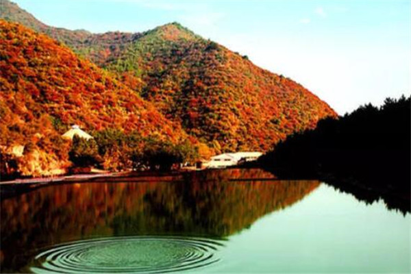  p>翠枫山自然风景区地处山西省阳泉市郊后峪村,东临平定县冶西镇,西