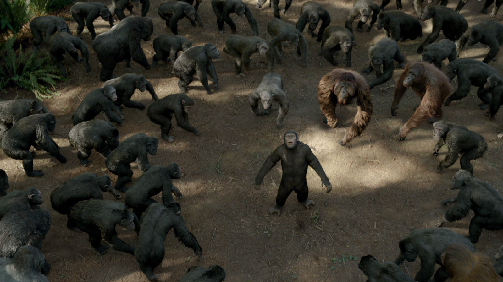  p>《猩球崛起》是科幻片《 a target="_blank" href="/item/人猿星球