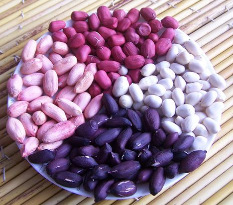  p>彩色花生,又称多彩花生.