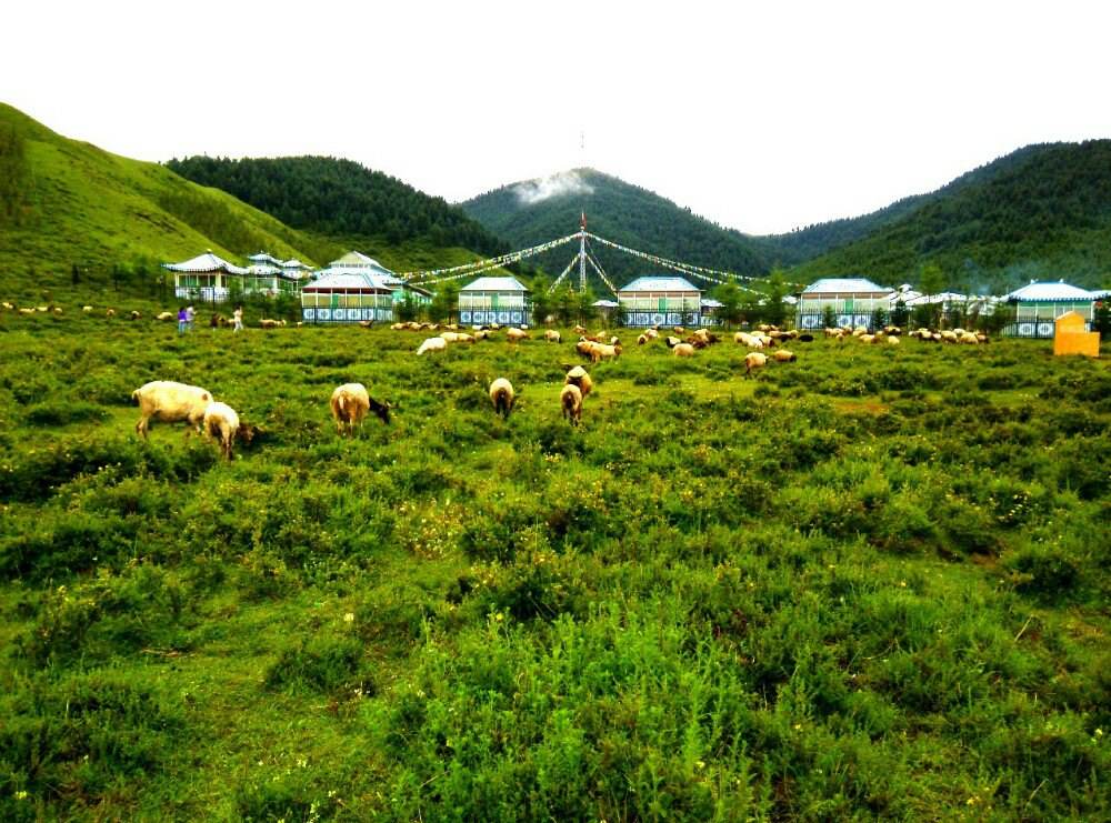 当周草原