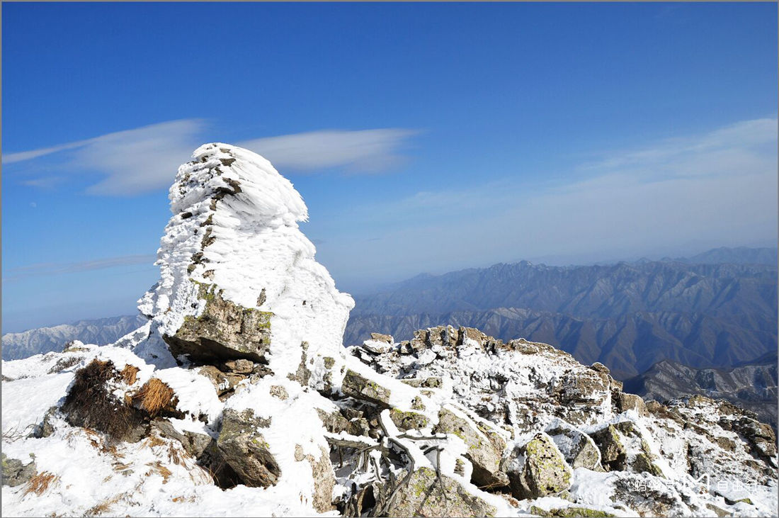 牛背梁国家森林公园