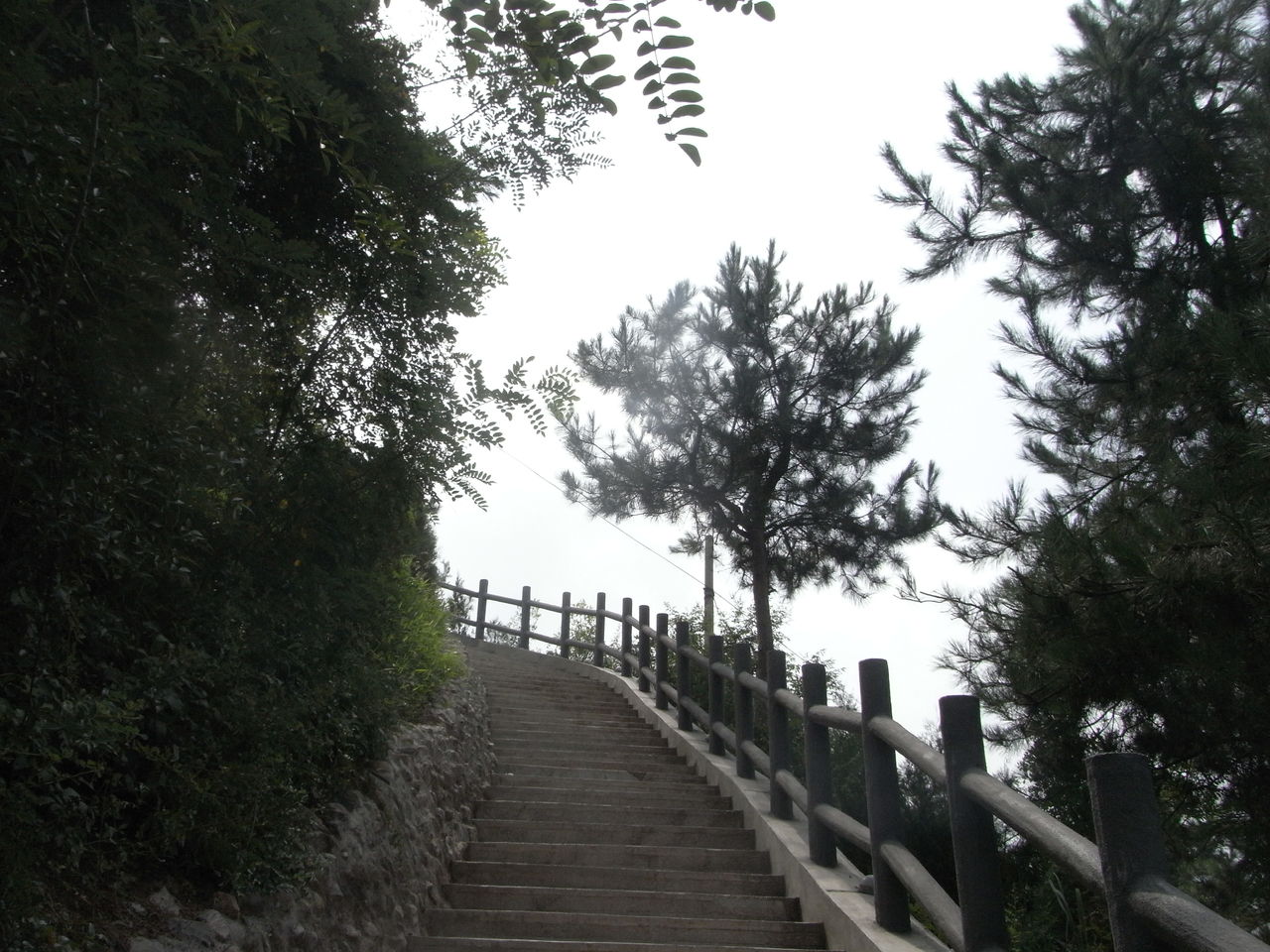 山阳苍龙山森林公园