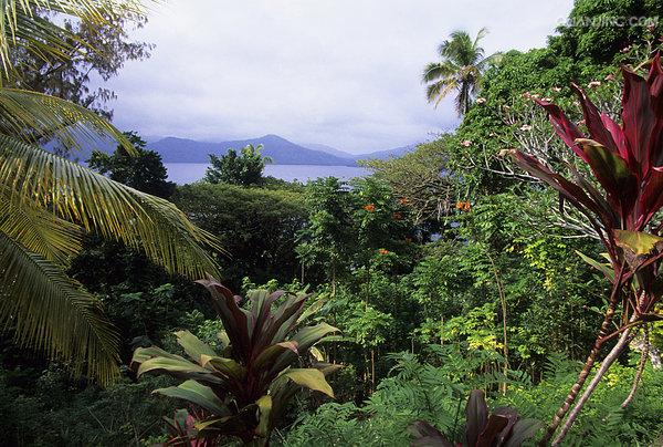 the independent state of papua new guinea),简称巴布亚新几内亚
