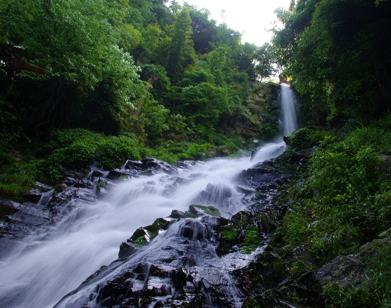  p data-id="gnx5fc0bk9">江西分宜县大岗山是分宜县最高的山峰,该山