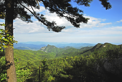 河南甘山国家森林公园