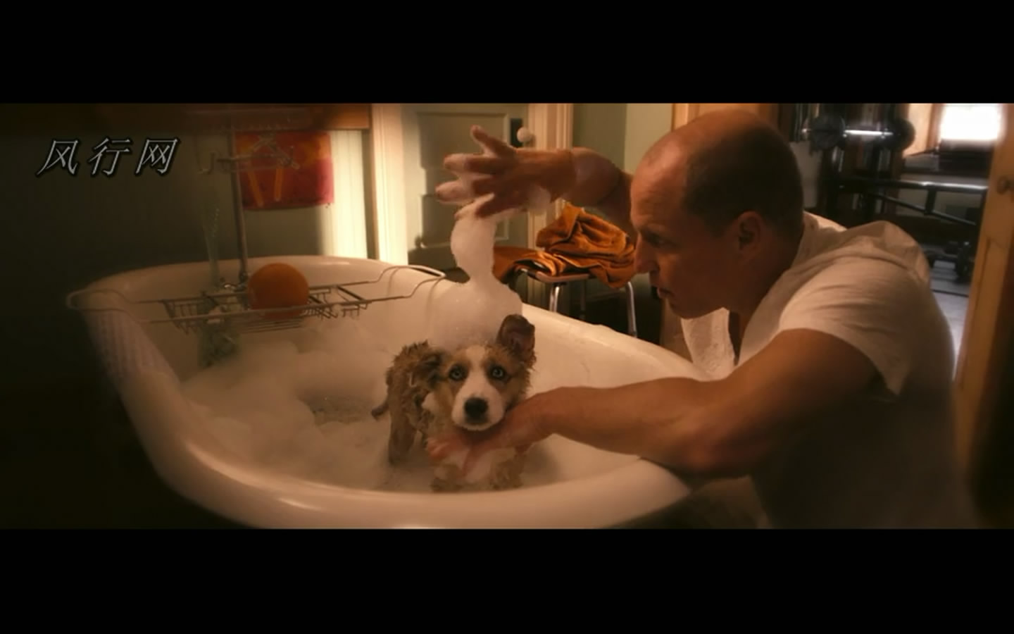  p>《僵尸之地》是一部由 a href="#" data-lemmaid="6446230">鲁本