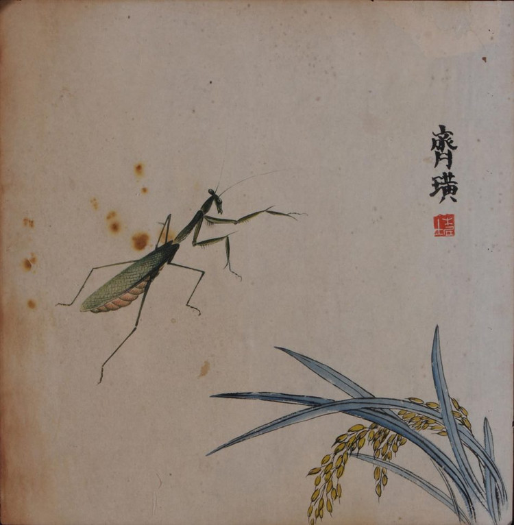 工笔草虫