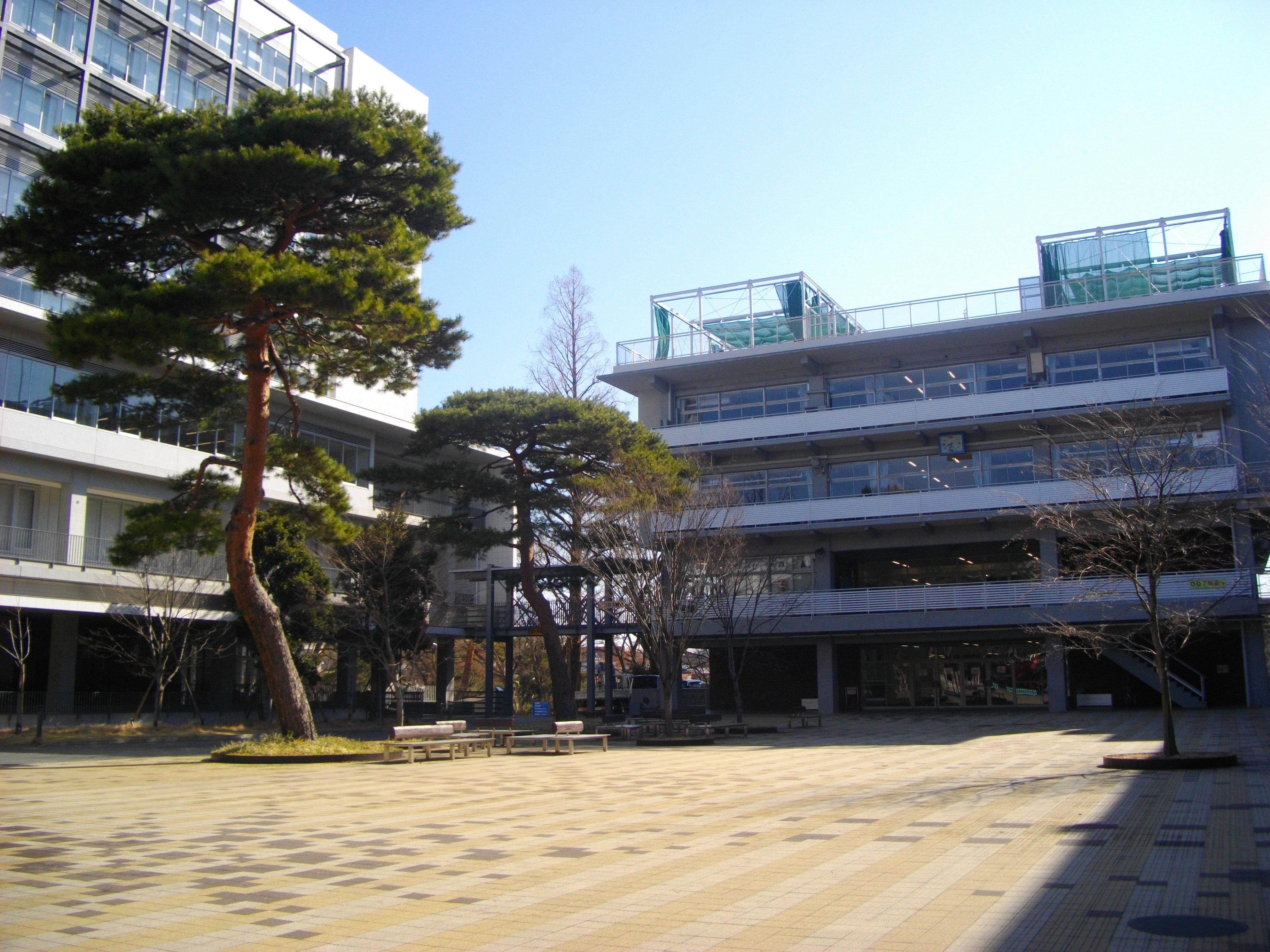  p>成城大学(英文:seijou university),创立于1950年,设立学部,又于