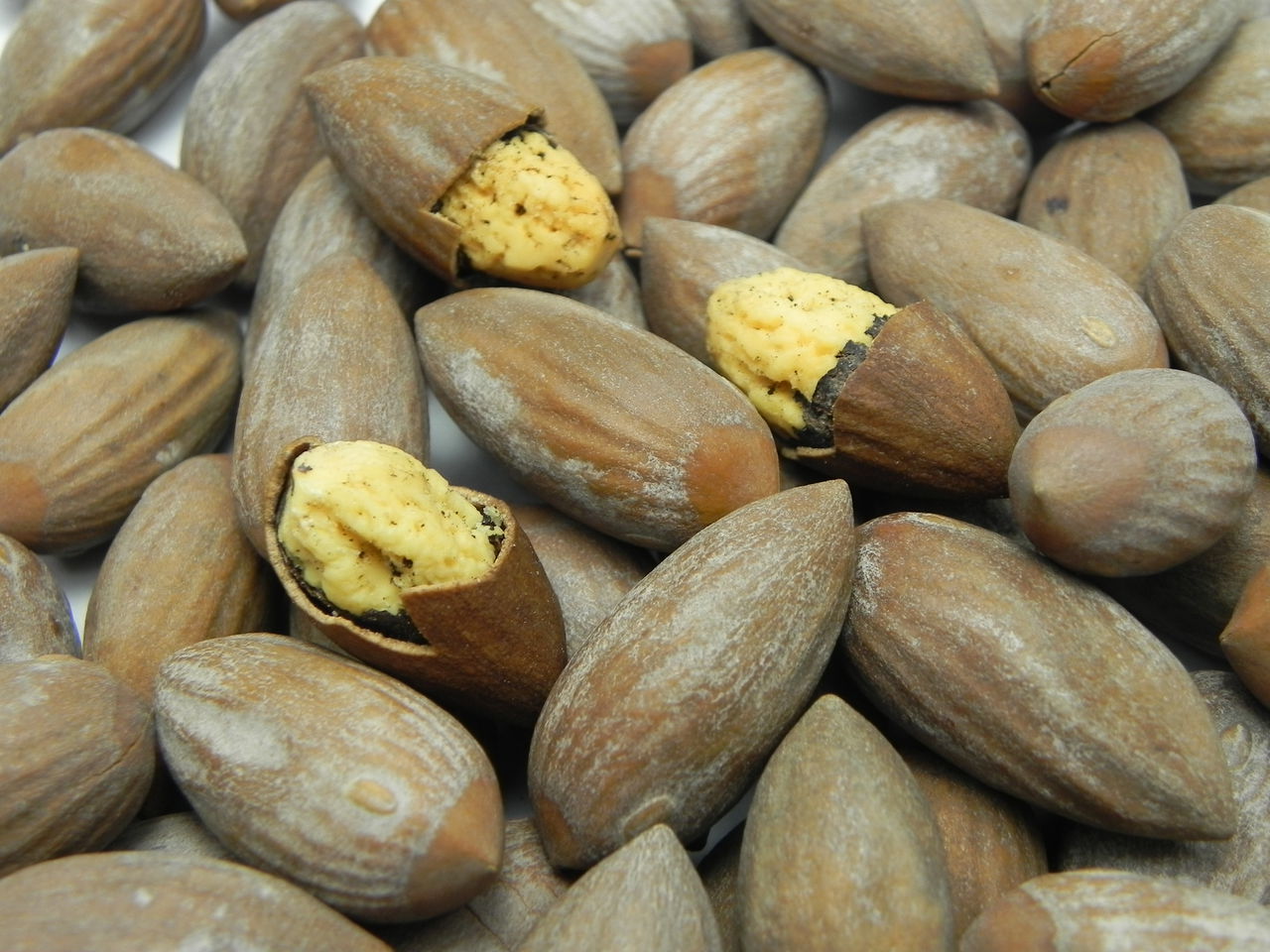  p>枫桥香榧,浙江省 a target="_blank" href="/item/诸暨市/1841329"