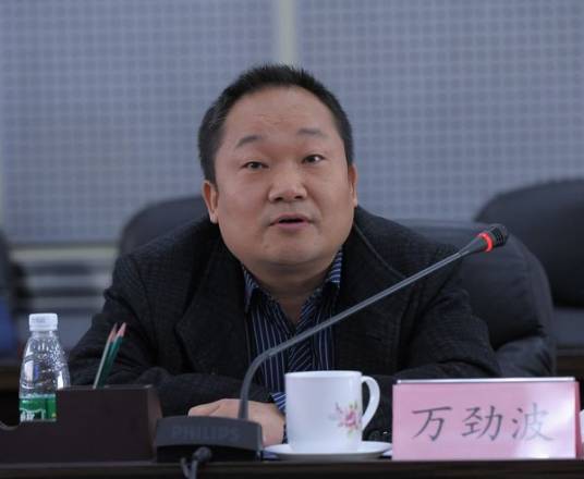 万劲波（中国科学院科技战略咨询研究院研究员）_百度百科
