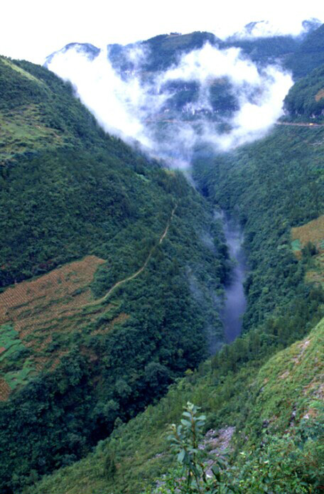 ="/item/重庆市/436625" data-lemmaid="436625">重庆市 /a>奉节县,地