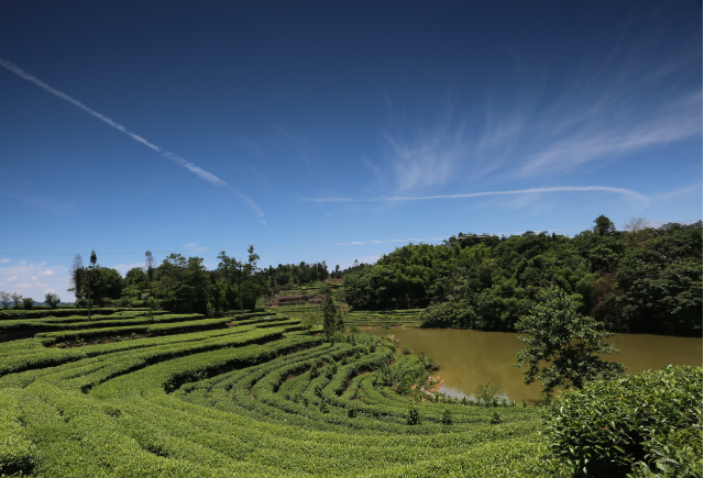  p data-id="tinvb0r3hl1f">高县蜀山茶海景区是四川省境内景点,属3a