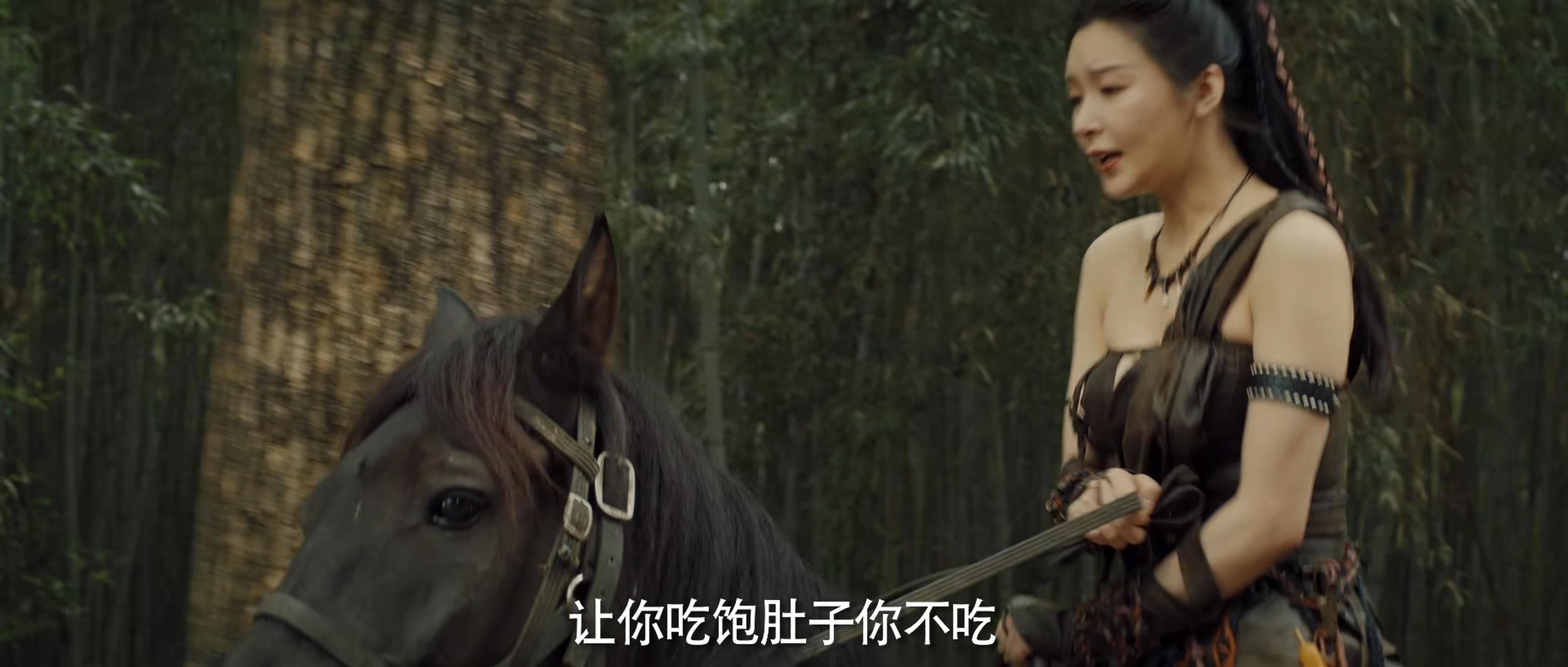 霍家拳之铁臂娇娃2