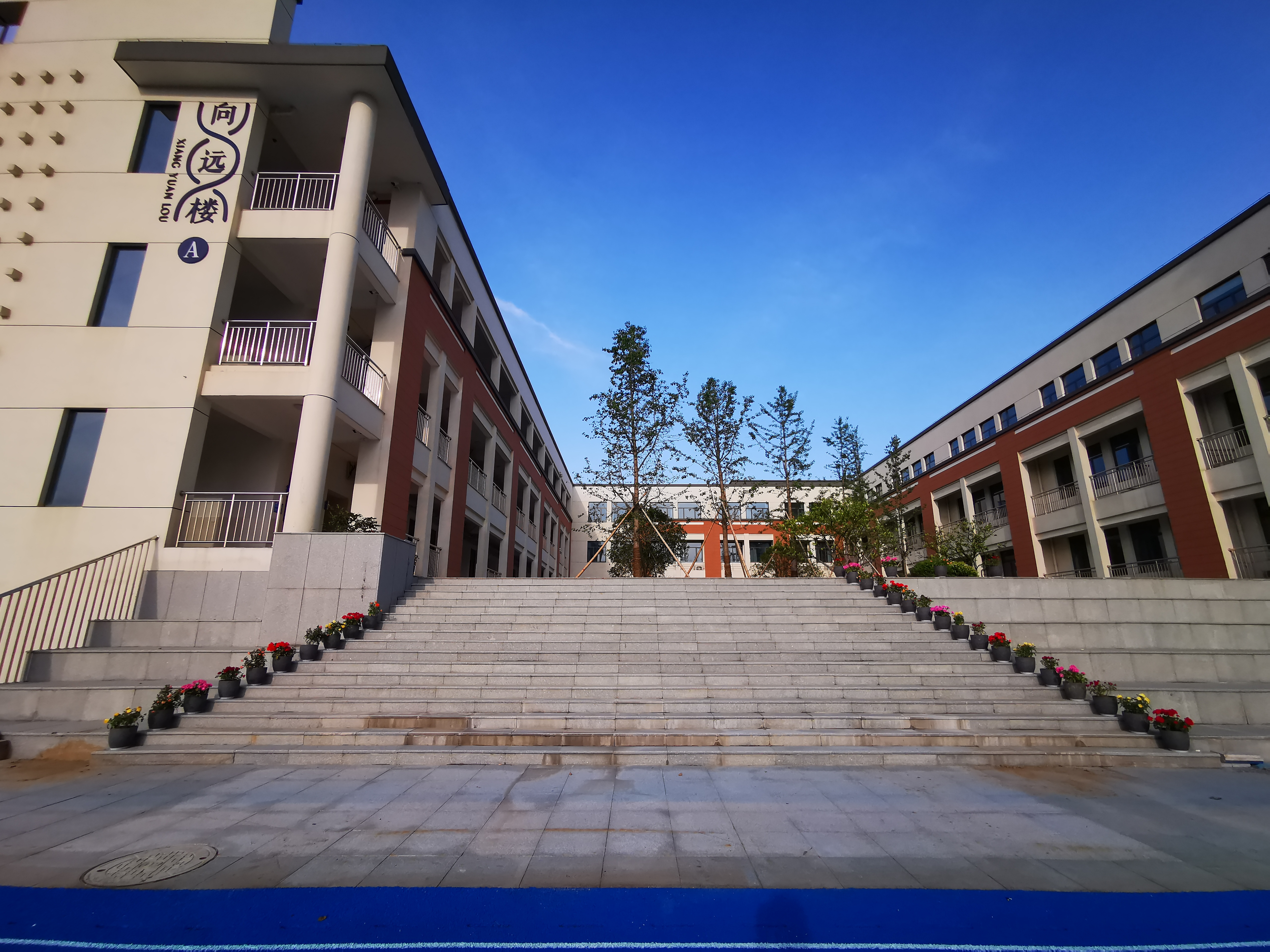 桐庐县科技城未来学校