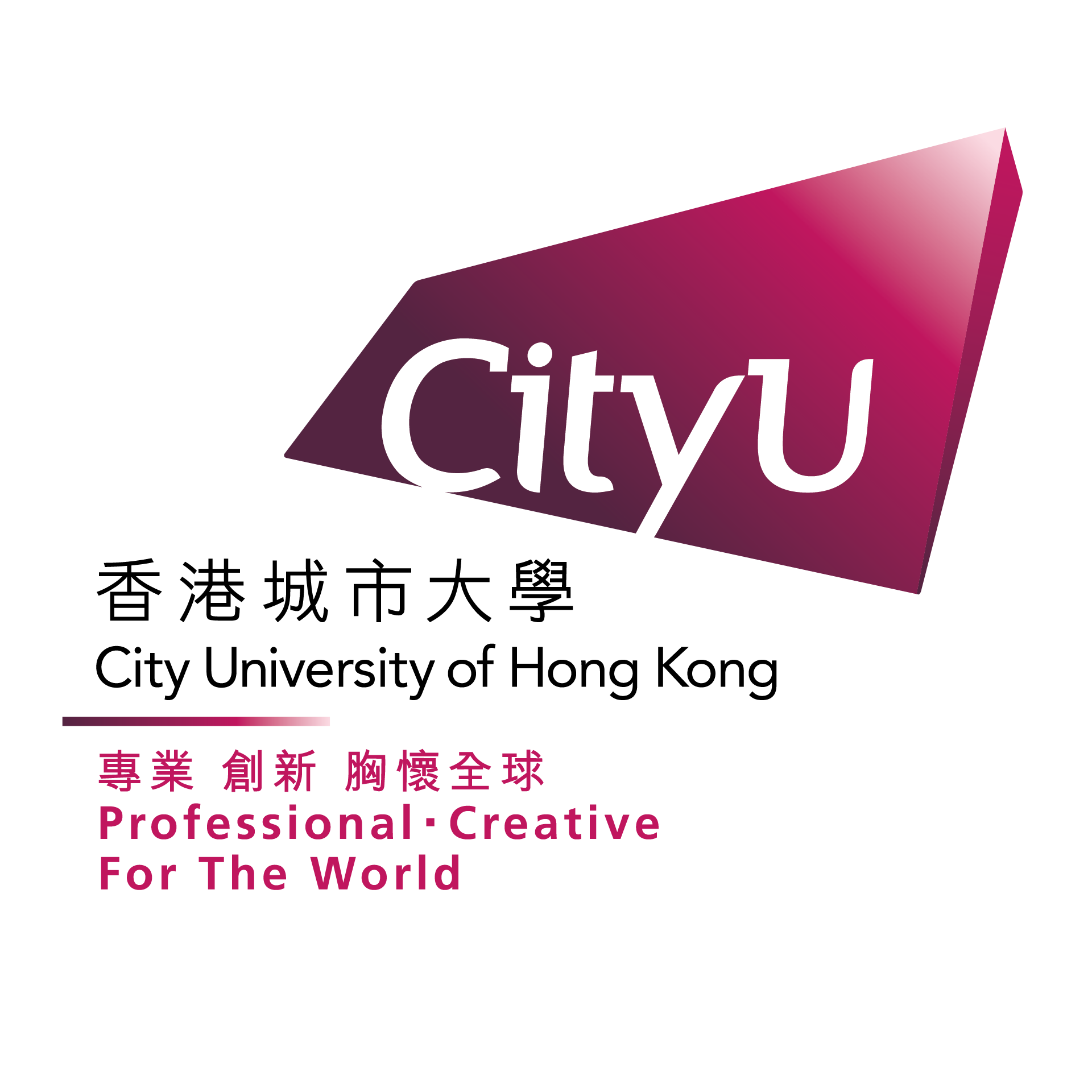 香港城市大学