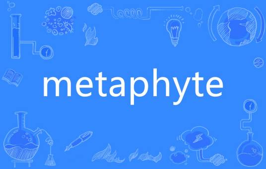 metaphyte_百度百科