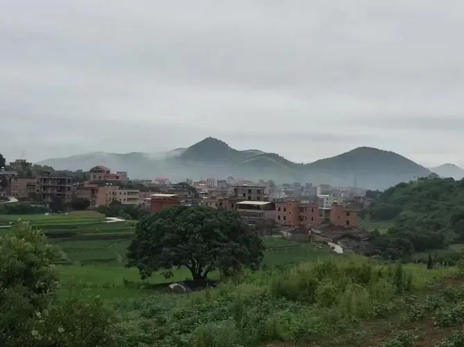 溪美街道,隶属于福建省泉州市南安市,地处<a