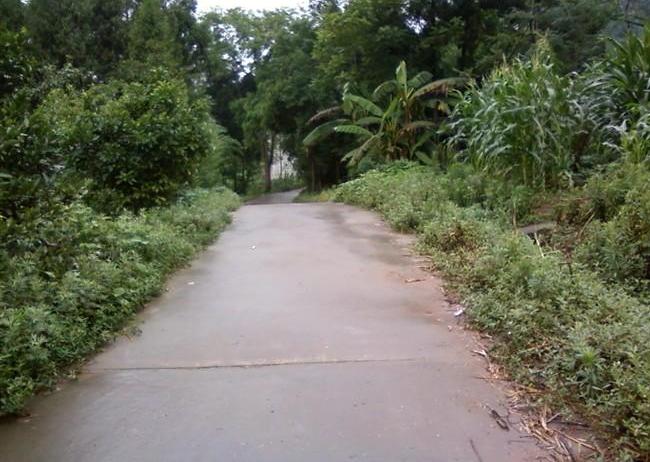  p>铜鼓乡,隶属于四川省南充市仪陇县,地处 a target="_blank" href="