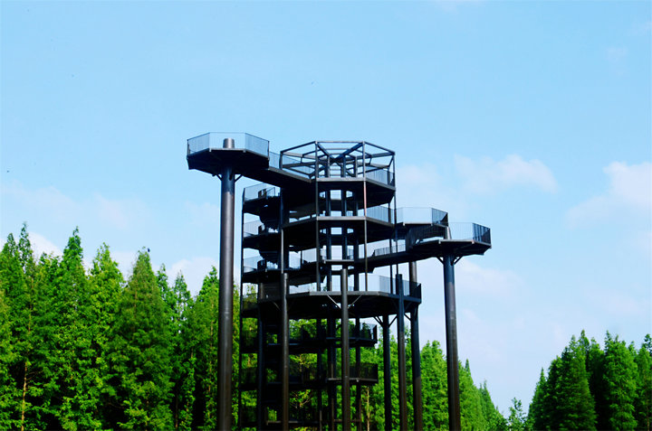 淮安市金湖水上森林