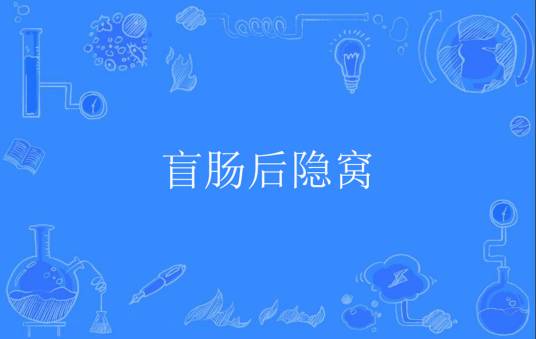 盲肠后隐窝_百度百科