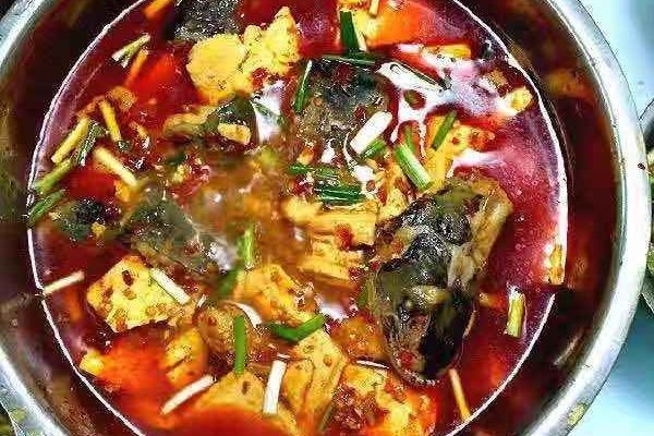 乌江豆腐鱼