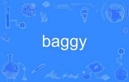 baggy_百度百科