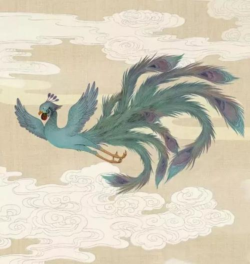 红嘴蓝鹊居然就是传说中的青鸟？_百科TA说
