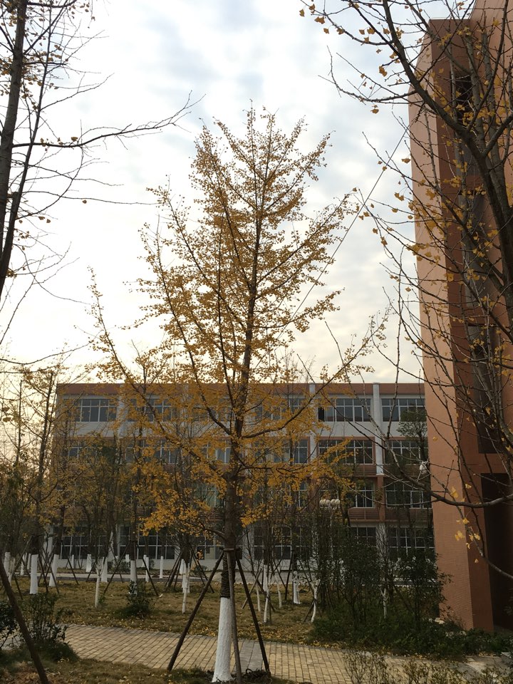 2014年8月15日,学校整体搬迁至位于信丰县城文体新区的新校区. /p>