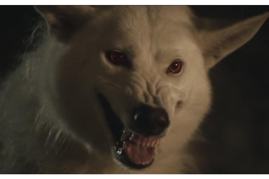  p>白灵(ghost )是 a target="_blank" href="/item/琼恩·雪诺