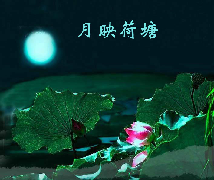 月映荷塘