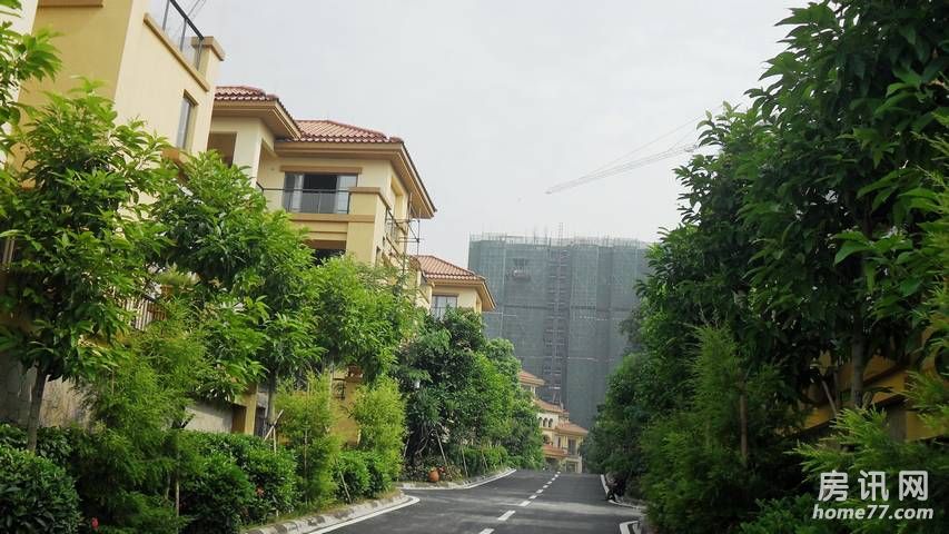 万江花样年君山