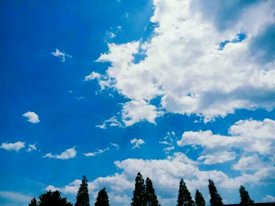  p>西平高中全称河南省西平县高级中学,位于河南省西平县,坐落于西平