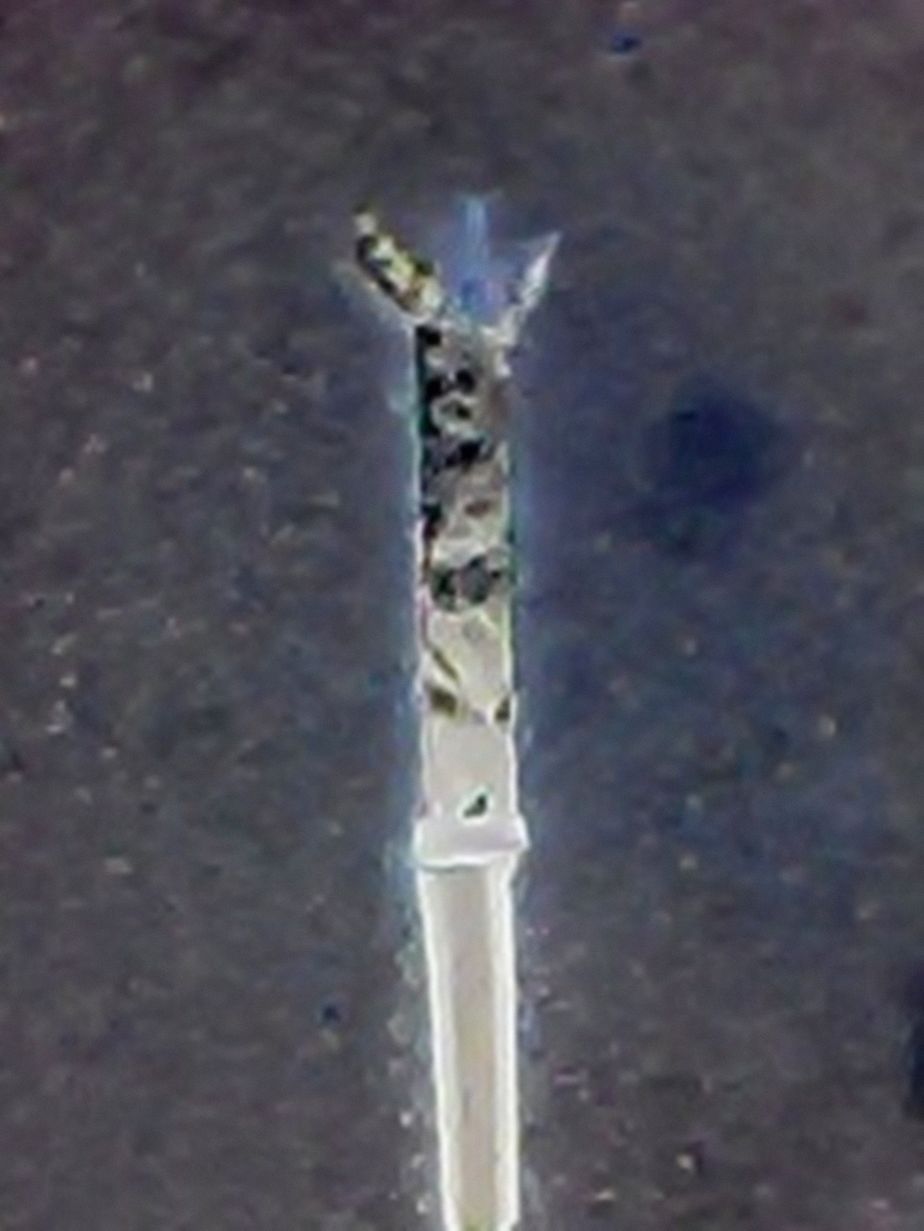 三尖刀