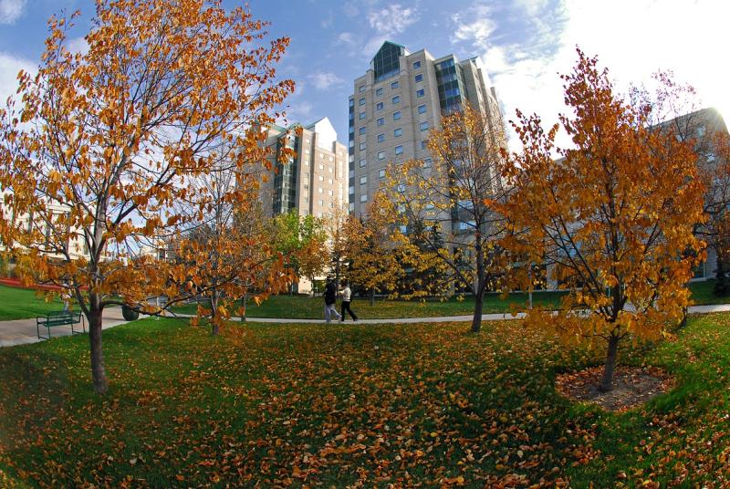 university of regina