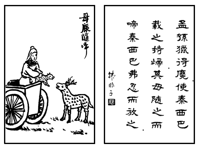 母鹿随啼