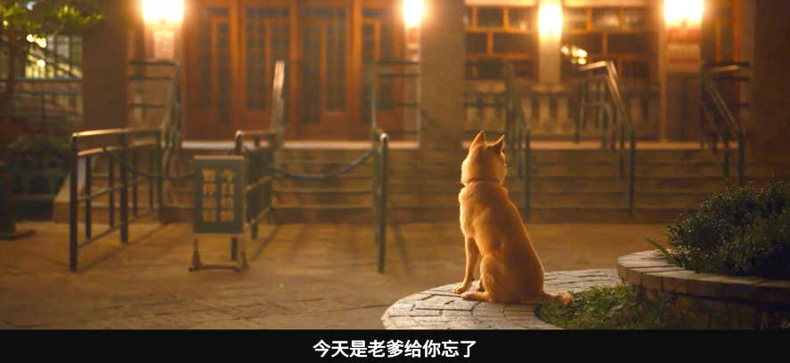 中国版《忠犬八公》定档！冯小刚陈冲主演，中华田园犬亮相圈粉_百科TA说