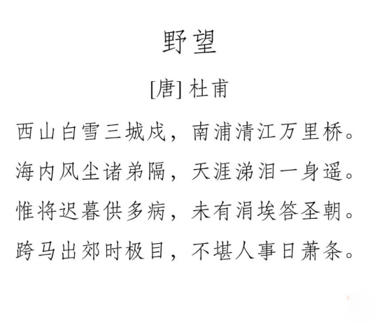野望（杜甫七言律诗）_百度百科