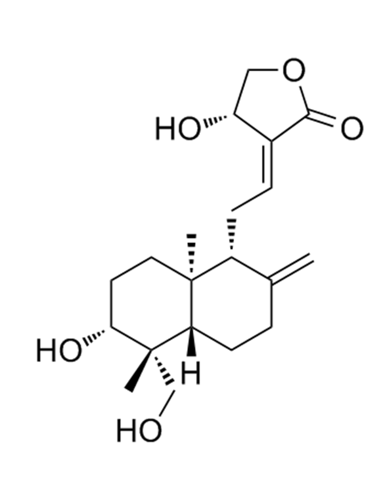 穿心莲内酯