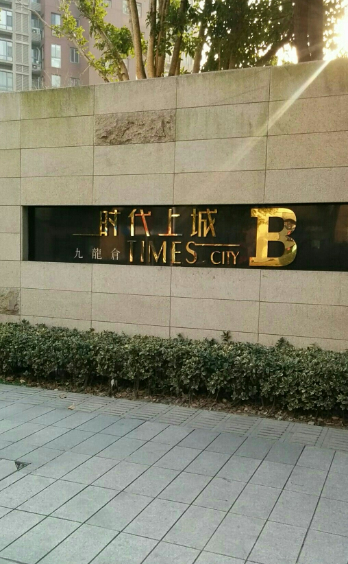 九龙仓时代上城b区