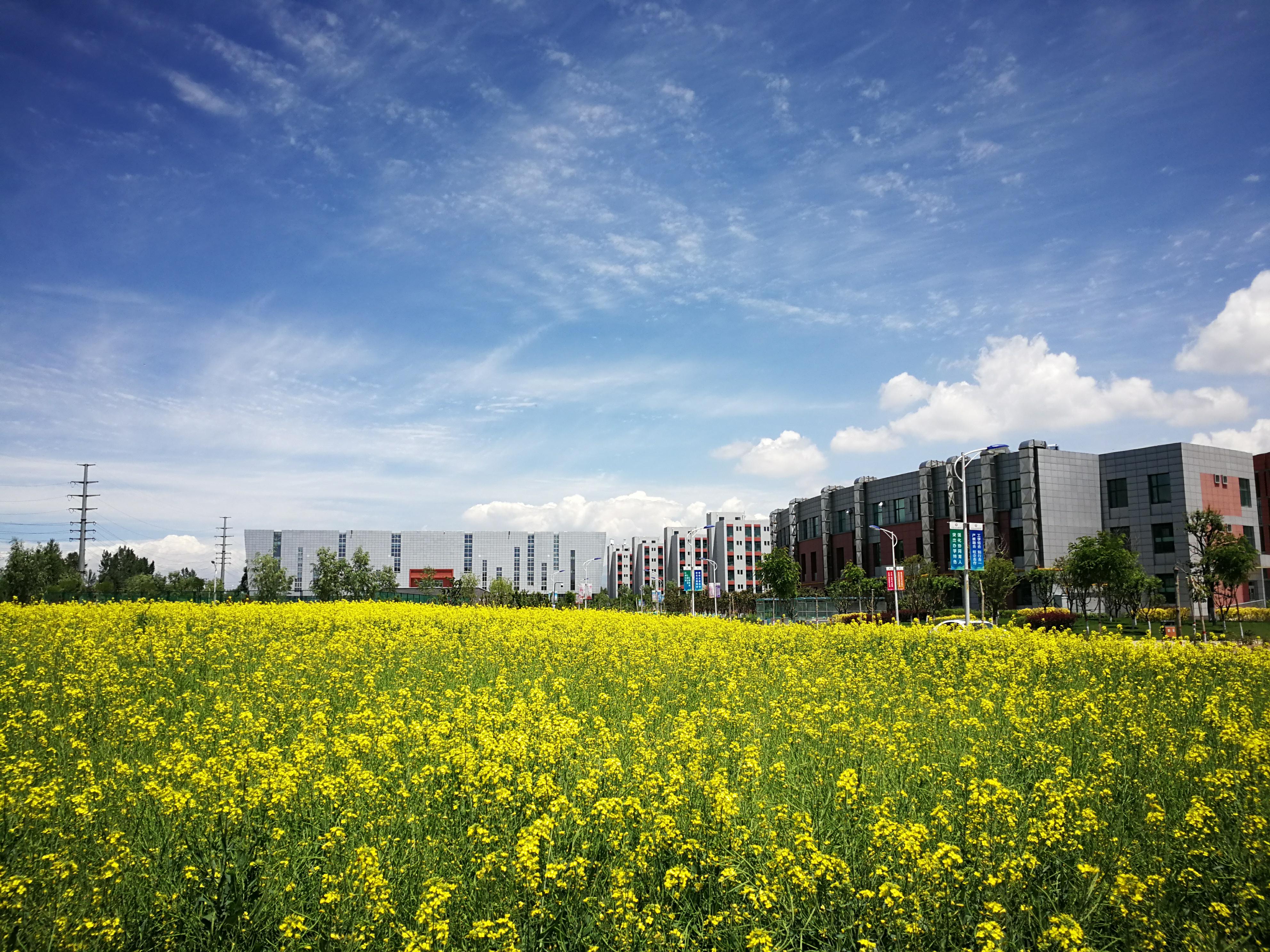西宁市城市职业技术学院