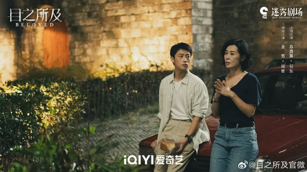 目之所及（2025年毛鲲宇执导的悬疑剧）_百度百科