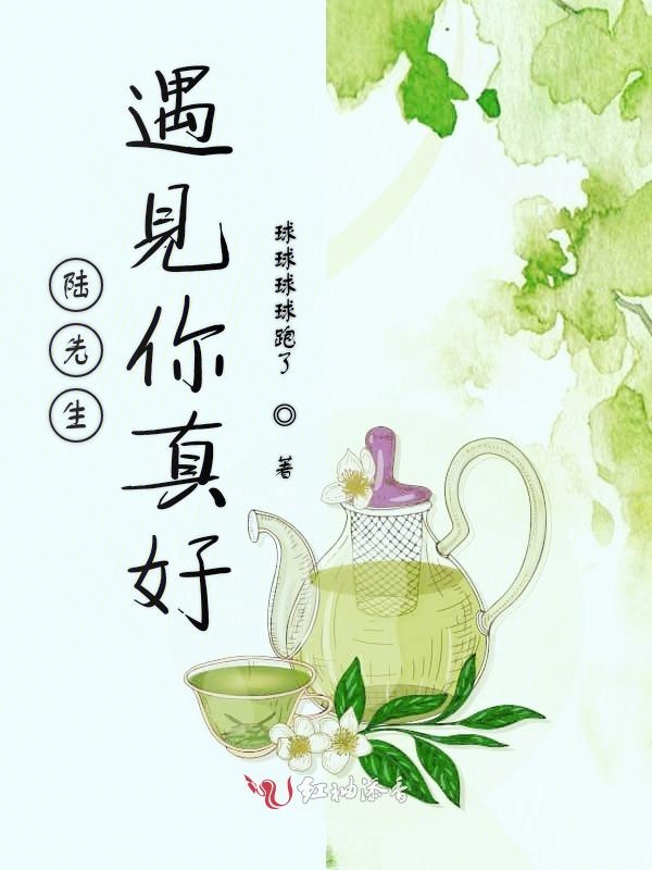 陆先生遇见你真好