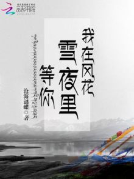 我在风花雪夜里等你