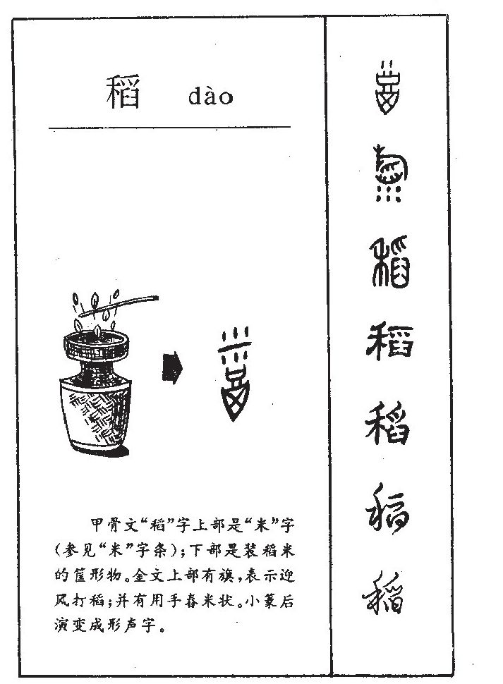  p>稻(拼音:dào),汉语一级通用规范汉字(常用字).